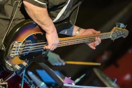 04052019-DSC 4981.comp 