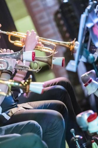 04052019-DSC 4982.comp 