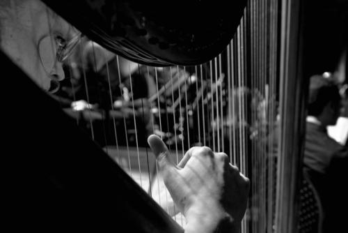 19C785D1-03FA-4B48-B4DF-91DFA9083DFD 1 105 c