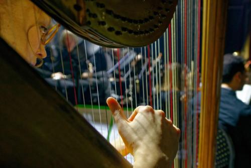 9DD4FDF0-0C81-446D-A395-BB1DA4787AB3 1 105 c