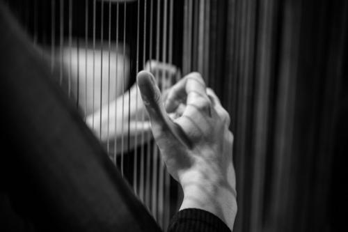 C32CE471-7CF5-4CCB-A1F6-AB4FF210C757 1 105 c