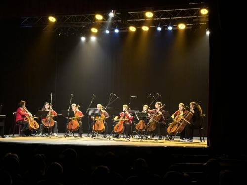 D2088D78-42FC-46C7-9D27-2206553BFD7B 1 105 c