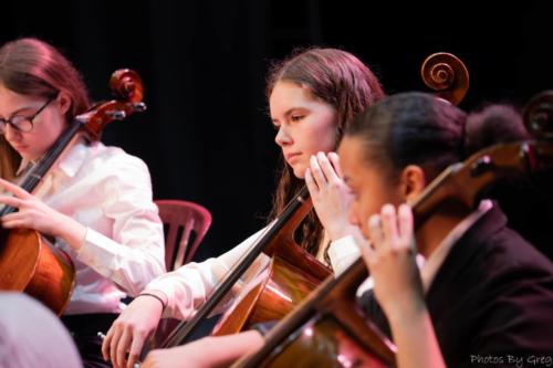 IMG 2535-Avec-accentuation-Bruit