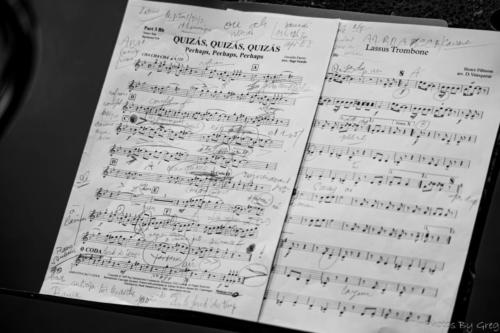 IMG 2618-Avec-accentuation-Bruit