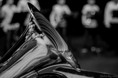 IMG 2619-Avec-accentuation-Bruit