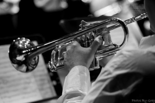 IMG 2659-Avec-accentuation-Bruit