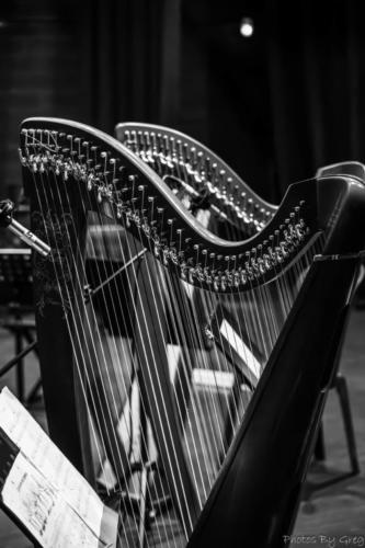 IMG 2713-Avec-accentuation-Bruit