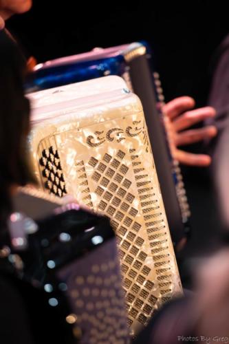 IMG 2741-Avec-accentuation-Bruit