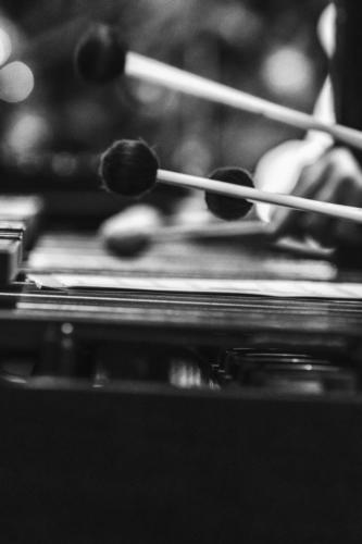 audition-de-Noël-2018-.comp 