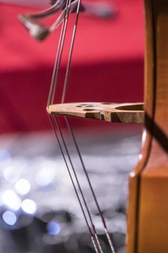 audition-de-Noël-2019-50.comp 