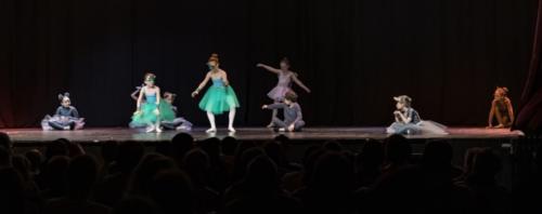 audition-de-danse-studio-5.comp 