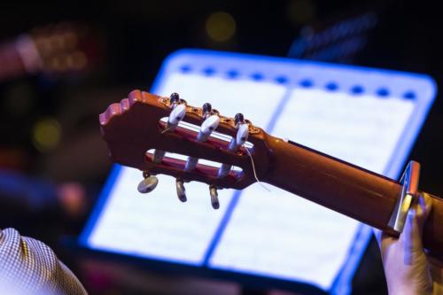 audition-de-musique-janvier-2019-0112.comp 