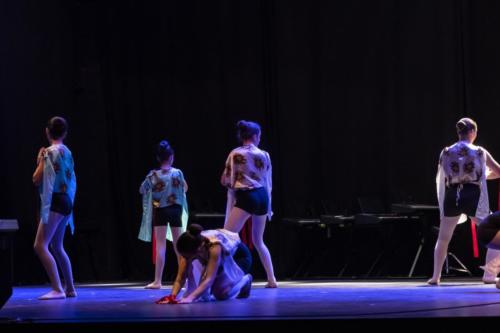 audition-de-musique-janvier-2019-0249.comp 