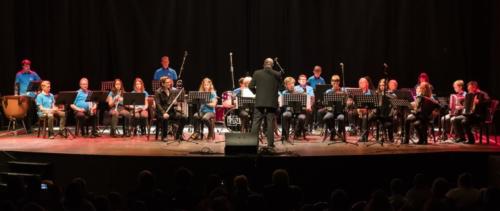 audition-de-musique-janvier-2019-11.comp 