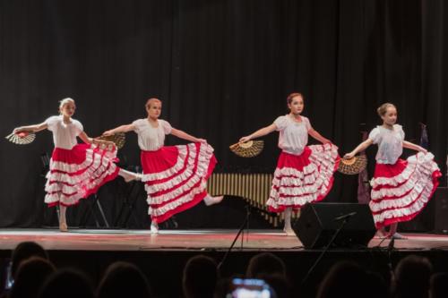 audition-de-musique-janvier-2019-7.comp 